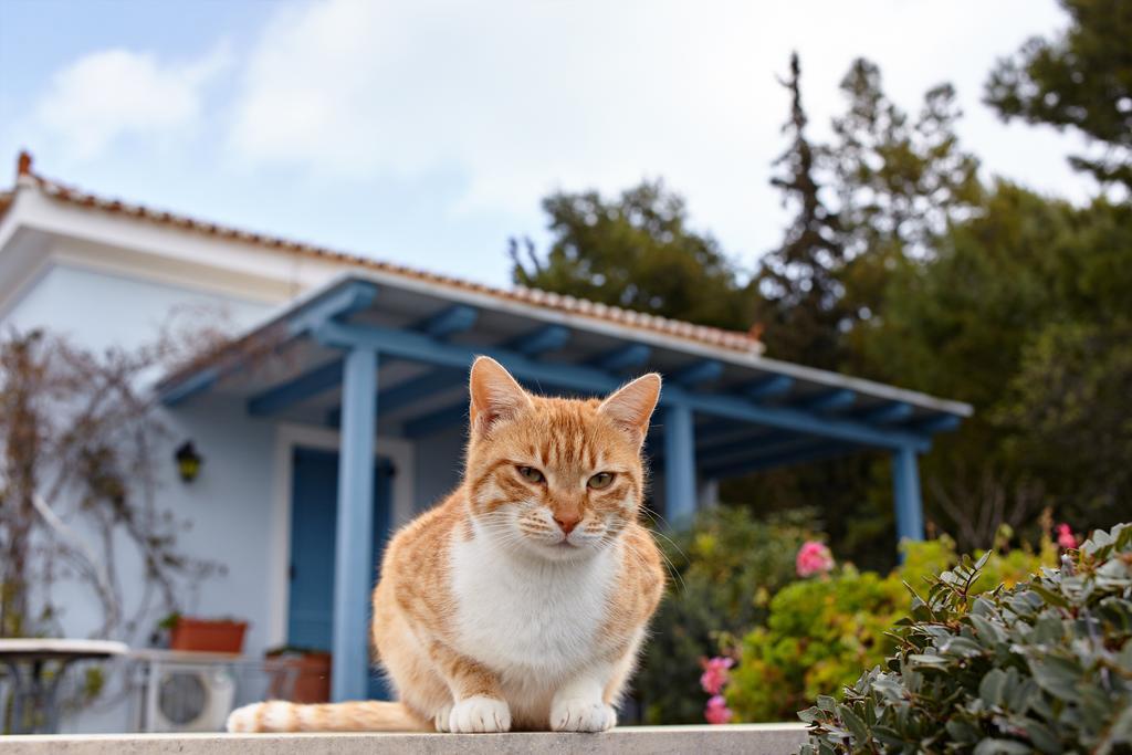 Villa Irini Порто Хели Экстерьер фото